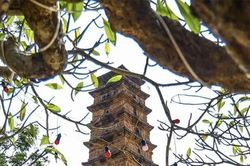 Tháp Bình Sơn, điểm hẹn hành hương ngàn năm tuổi