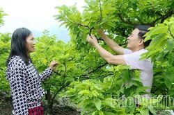 Nông dân thi đua làm giàu