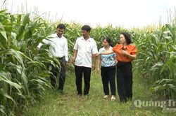 'Đánh thức' ruộng hạn