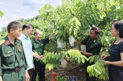 Đổi mới tư duy, phát triển kinh tế tập thể vững mạnh