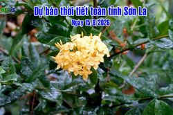 Dự b&aacute;o thời tiết to&agrave;n tỉnh Sơn La ng&agrave;y 15/8/2026