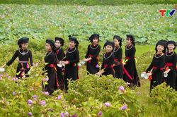 Vũ khúc vùng cao