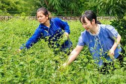 Đánh thức nguồn lực đất đai