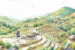 Thơ song ngữ Tày - Việt