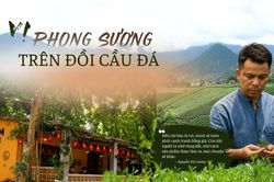 Vị phong sương trên đồi Cầu Đá