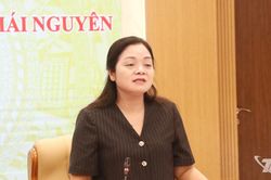 Khẩn trương hoàn thiện các phần việc chuẩn bị Festival Trà Quốc tế - Thái Nguyên