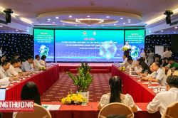 Tuyên truyền, phổ biến và cập nhật các quy định mới về sử dụng năng lượng tiết kiệm và hiệu quả