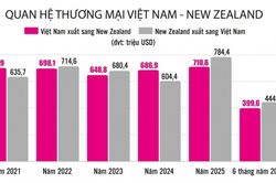Việt Nam - New Zealand: Mở rộng hợp tác trong các lĩnh vực giàu tiềm năng