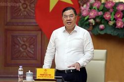 Phó thủ tướng: Rà soát doanh nghiệp nhập khẩu lớn nhưng xuất khẩu thấp