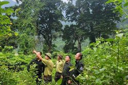 Tuyên Quang: Hạt Kiểm lâm khu vực VI giữ rừng từ cơ sở