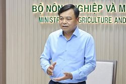 Đề án 1 triệu ha lúa: Từ giảm phát thải đến xây dựng thương hiệu “gạo Việt Nam xanh”