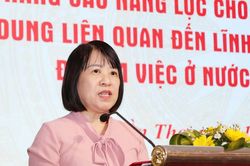 Tập huấn nghiệp vụ cho cán bộ làm công tác đưa lao động đi làm việc ở nước ngoài
