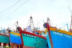 Đồng Tháp: Thực hiện cao điểm chống khai thác IUU