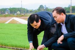 Xử l&yacute; giống c&acirc;y trồng v&agrave; sản phẩm OCOP nh&aacute;i: Cần 'l&aacute; chắn' sở hữu tr&iacute; tuệ