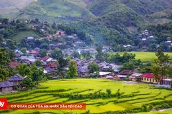 Điện Biên tạo lực đẩy cho nông nghiệp hàng hóa