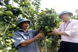 Tín dụng ưu đãi: Khi chính sách đúng, trúng, hợp lòng dân