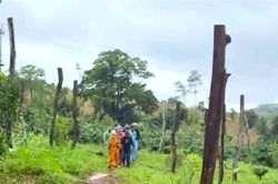 Nghi phạm vụ phát hiện thi thể nữ nhân viên thư viện là đồng nghiệp