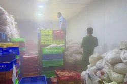 Buộc tiêu hủy 7,7 tấn chân gà đông lạnh hết 'đát'