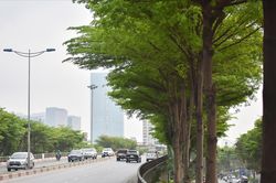 Thời tiết Hà Nội dịu mát