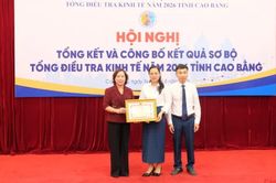Tổng kết, công bố kết quả sơ bộ tổng điều tra kinh tế tỉnh năm 2026