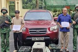 Phát hiện, bắt giữ 2 đối tượng vận chuyển trái phép động vật hoang dã qua biên giới