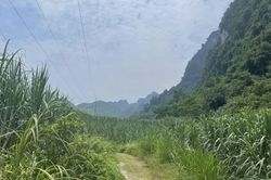 Thời tiết các khu vực trong tỉnh ngày 15/8, có mưa, mưa rào và dông ở vài nơi, ngày giảm mây trời nắng