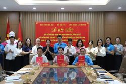 Tăng cường phối hợp thực hiện ch&iacute;nh s&aacute;ch bảo hiểm v&agrave; bảo vệ quyền lợi người lao động