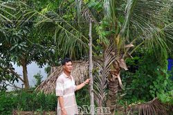 Người dân ấp Chòi Mòi mong có dòng điện ổn định