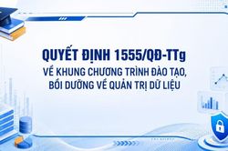 Thủ tướng ban hành Khung chương trình đào tạo, bồi dưỡng về quản trị dữ liệu