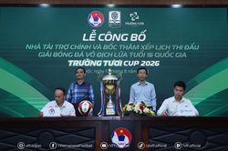 Giải U16 Quốc gia được đăng kí cầu thủ Việt kiều