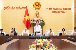 Ủy ban Thường vụ Quốc hội cho ý kiến về dự án Bộ luật Hình sự sửa đổi