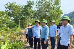 Hương Sơn bàn giao mặt bằng dự án đường Mỹ Đình - Ba Sao - Bái Đính sớm 7 ngày