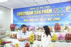 Xã Mê Linh ứng dụng công nghệ số vào phát triển kinh tế làng nghề