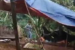 Xác định nghi phạm sát hại nữ nhân viên thư viện trường học ở Đắk Lắk