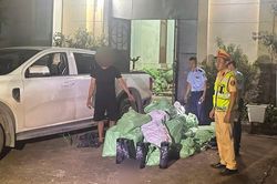 Phát hiện xe bán tải vận chuyển 220 bình khí cười ở Móng Cái