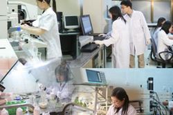 Chỉ đạo, điều hành của Chính phủ, Thủ tướng Chính phủ nổi bật tuần 8-14/8/2026