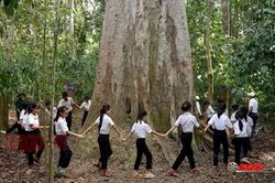 Phẩm chất người lính trong phim tài liệu 'Nguyện ước giữa đại ngàn'