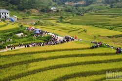 Mùa vàng Sín Chéng-Âm vang điệu khèn