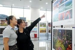 Triển lãm ảnh Giao thoa văn hóa Nam Trung Bộ - Tây Nguyên