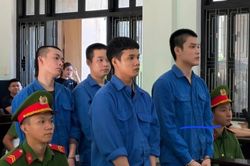 'Đầu nậu' ma túy cùng đồng bọn lãnh án