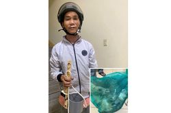 'Miêu tặc' lại tái phạm