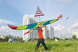 Hiểm họa từ diều sáo 'khủng'