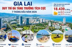 Gia Lai thu ngân sách trong 7 tháng đạt hơn 18.400 tỷ đồng