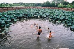 Ao làng quê ngoại