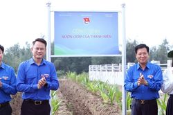 Ra quân toàn quốc cao điểm tình nguyện xây dựng nông thôn mới, làng quê đáng sống