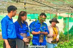 Thủ lĩnh đoàn thắp sáng giấc mơ khởi nghiệp
