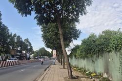 Hàng loạt sai phạm tại khu đất vàng trung tâm Đồng Nai