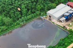 Nguy cơ nước thải chưa qua xử lý chảy tràn ra môi trường ở trang trại lợn rộng 100ha