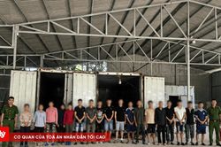 Triệt phá đường dây vận chuyển hơn 5,3 tấn chân giò lậu qua biên giới
