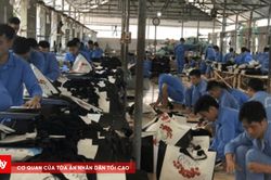 Dạy nghề cho người cai nghiện: Trao sinh kế, mở lối tái hòa nhập cộng đồng